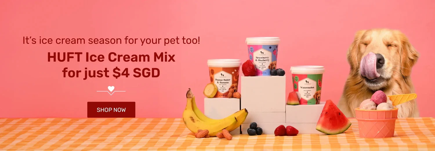 ice_cream_web_1_1500x